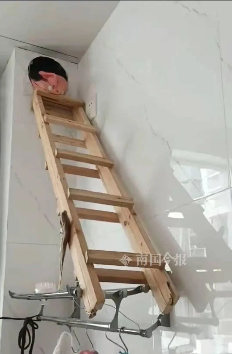 DƬ